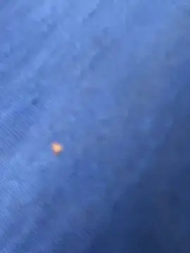 United3 online show from October 9, 2025, 8:26 am