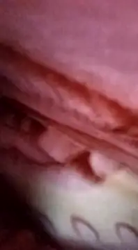 dick-boy-arabic1 online show from December 19, 2024, 3:18 am