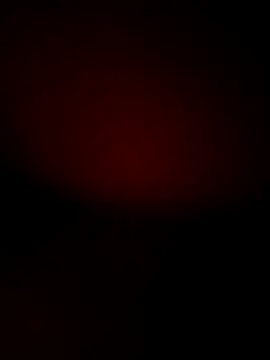 Kajaldx online show from March 17, 2025, 4:19 am