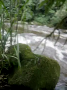 Snapshot of adam-rivera chatting on November 17, 2025, 8:35 pm adam-rivera online show from November 17, 2025, 8:35 pm