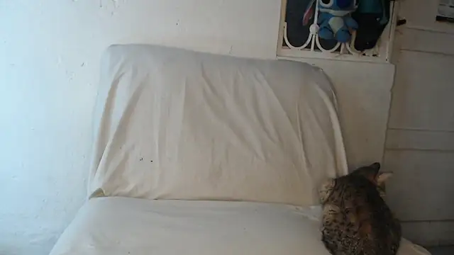 Snapshot of pervertsteens3 chatting on October 24, 2025, 4:55 am pervertsteens3 online show from October 24, 2025, 4:55 am