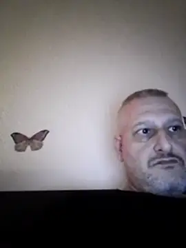 Husoban online show from January 6, 2026, 5:50 pm