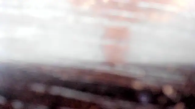 Snapshot of linda_rios_ chatting on February 19, 2025, 10:09 pm linda rios online show from February 19, 2025, 10:09 pm