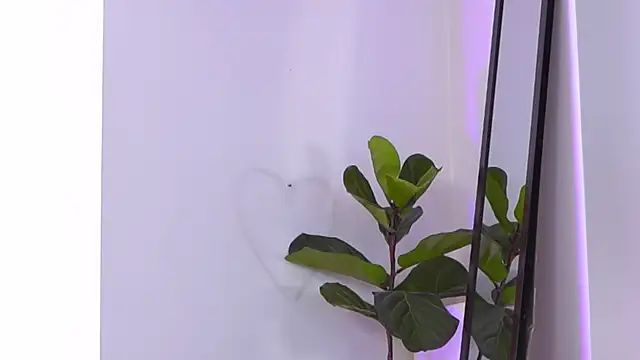 Snapshot of Jenna_Day chatting on October 21, 2025, 9:09 am Jenna Day online show from October 21, 2025, 9:09 am