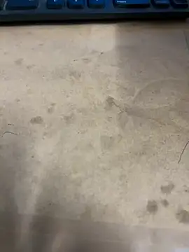 Snapshot of Hillz_king_98 chatting on January 3, 2025, 12:33 am Hillz king 98 online show from January 3, 2025, 12:33 am