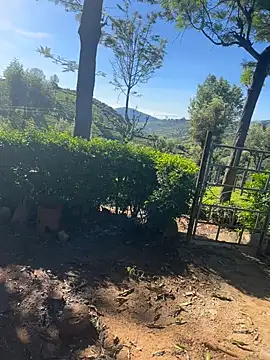 Snapshot of Hillz_king_98 chatting on February 4, 2025, 3:54 am Hillz king 98 online show from February 4, 2025, 3:54 am