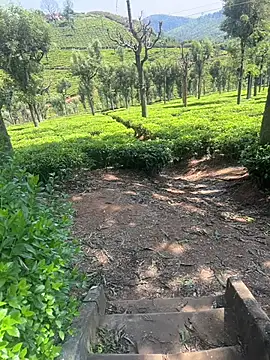 Snapshot of Hillz_king_98 chatting on February 28, 2025, 3:37 am Hillz king 98 online show from February 28, 2025, 3:37 am