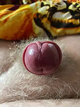 makedaddyhappy6 online show from February 20, 2025, 12:57 pm