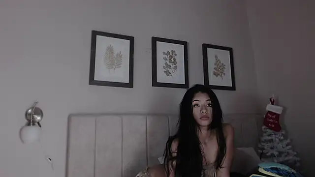  dakota a online show from December 19, 2025, 2:41 pm