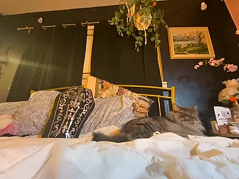 Snapshot of Spacetrvin chatting on January 6, 2025, 1:31 am Spacetrvin online show from January 6, 2025, 1:31 am