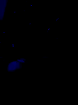 Snapshot of Amadass90 chatting on February 11, 2025, 7:16 pm Amadass90 online show from February 11, 2025, 7:16 pm