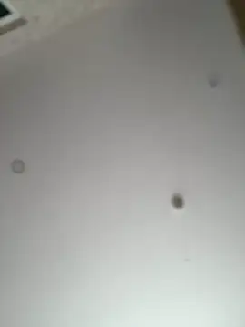 AndreaMood online show from December 21, 2025, 1:30 am