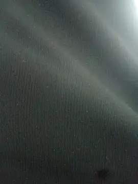 Snapshot of D09754 chatting on December 24, 2024, 5:34 pm D09754 online show from December 24, 2024, 5:34 pm