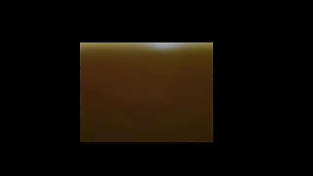 Snapshot of berberson chatting on December 30, 2024, 8:43 am berberson online show from December 30, 2024, 8:43 am