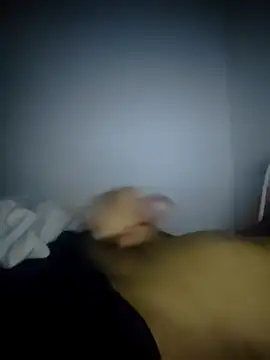 Snapshot of fredfgr chatting on February 9, 2026, 12:52 am fredfgr online show from February 9, 2026, 12:52 am