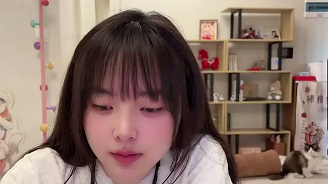 Snapshot of Chenjing0 chatting on March 6, 2026, 4:29 am Chenjing0 online show from March 6, 2026, 4:29 am