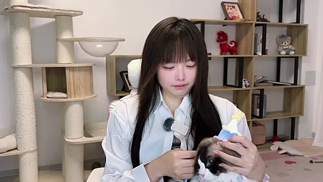 Snapshot of Chenjing0 chatting on May 16, 2026, 12:15 pm Chenjing0 online show from May 16, 2026, 12:15 pm
