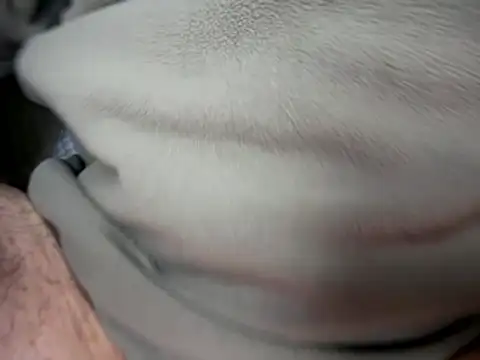 Snapshot of Archie8338 chatting on January 14, 2026, 4:21 pm Archie8338 online show from January 14, 2026, 4:21 pm