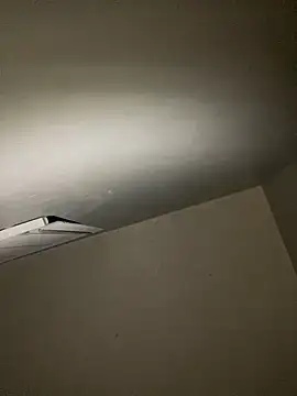 leisurelycriminal online show from January 1, 2025, 10:21 am