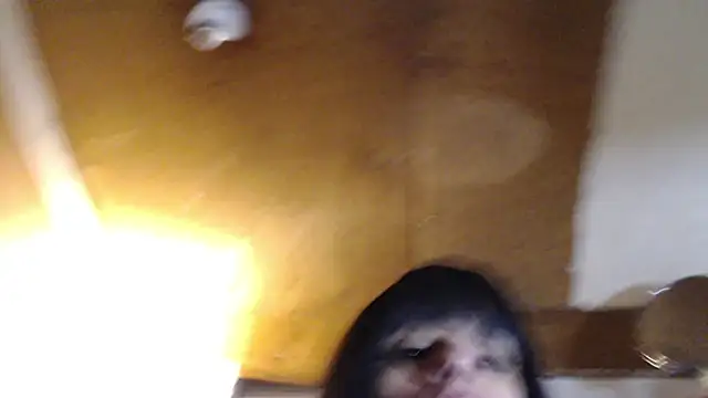 SadCatDaddy online show from March 20, 2025, 3:14 pm