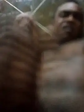 rodrig2107 online show from February 2, 2026, 9:41 am