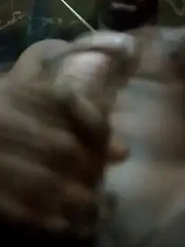 rodrig2107 online show from April 11, 2026, 10:30 am