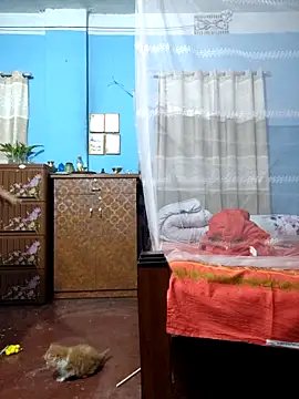 124pakhi online show from March 2, 2026, 1:06 am