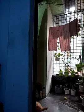 124pakhi online show from March 17, 2026, 1:30 am