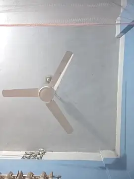 124pakhi online show from March 22, 2026, 2:40 pm