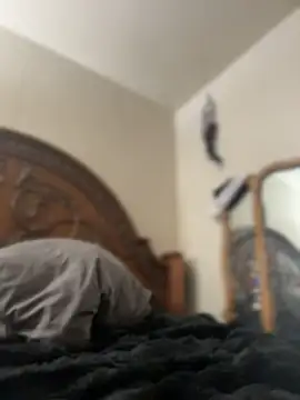 Snapshot of Kitty_DaCocks chatting on April 7, 2026, 10:44 pm Kitty DaCocks online show from April 7, 2026, 10:44 pm