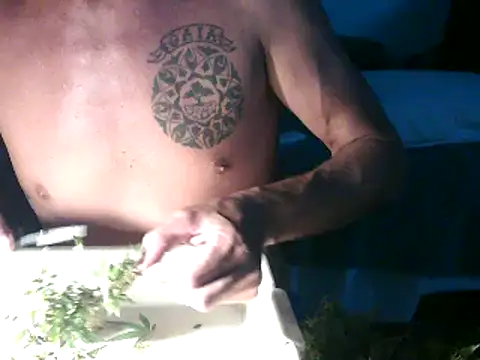 Snapshot of GoloZeusMax chatting on March 14, 2025, 12:32 am GoloZeusMax online show from March 14, 2025, 12:32 am