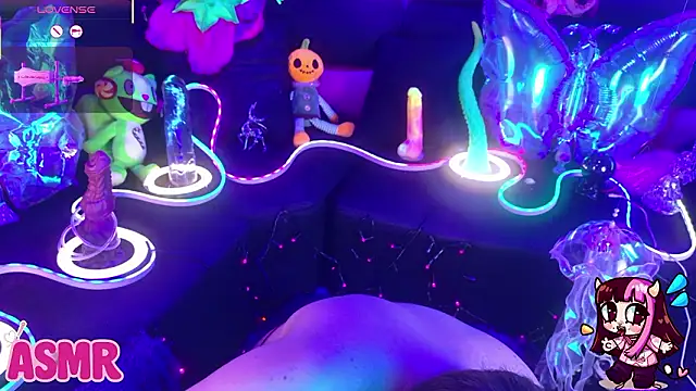 LaytonBox online show from March 20, 2026, 1:01 pm