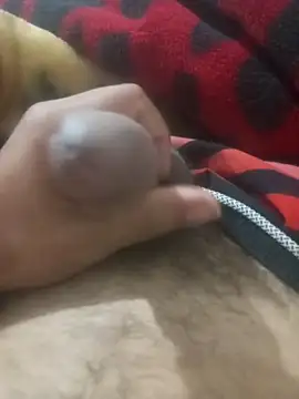 MAMIDRjk online show from February 12, 2026, 11:59 pm