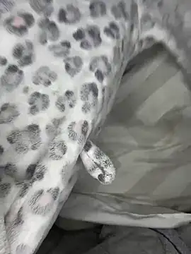 VioletxBlue online show from March 28, 2026, 11:33 am