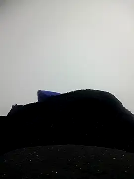 CHARLOTTE 1711 online show from October 11, 2025, 3:40 am