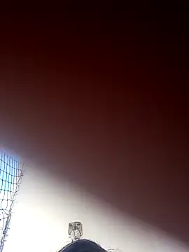 Donnasexy5 online show from March 7, 2025, 8:00 pm