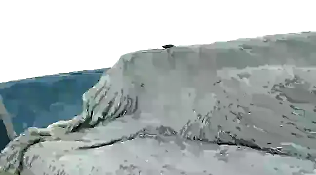 nene-5 online show from March 13, 2025, 11:16 pm