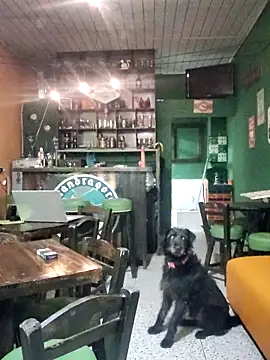 Snapshot of ilonna2025 chatting on March 15, 2026, 11:34 pm ilonna2025 online show from March 15, 2026, 11:34 pm