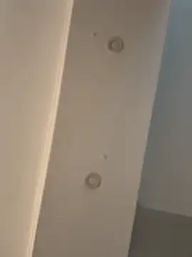 dereckgreen online show from February 17, 2026, 9:23 pm