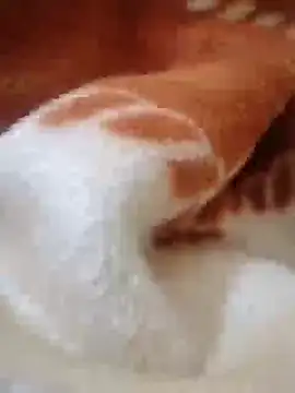 rox hamm online show from February 26, 2026, 6:35 am