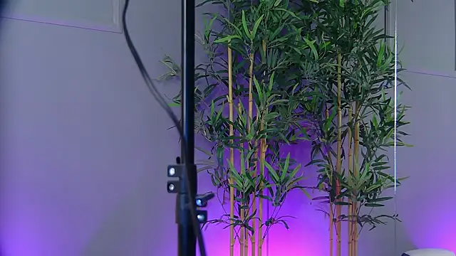 Snapshot of PatriciaSpice chatting on January 15, 2026, 5:33 am PatriciaSpice online show from January 15, 2026, 5:33 am