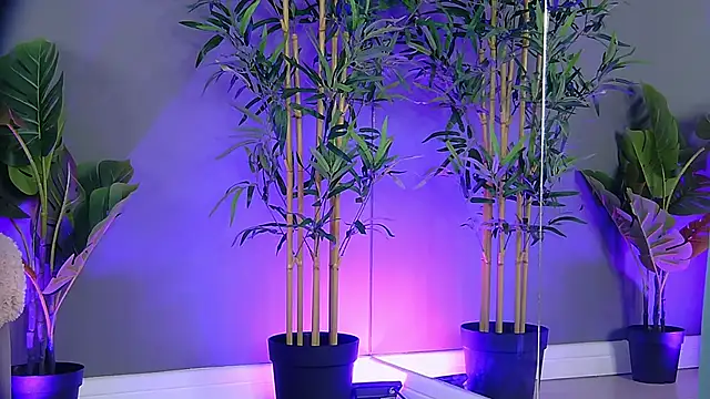 PatriciaSpice online show from October 27, 2025, 5:19 am