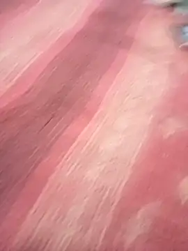 Snapshot of bdmaksuda1 chatting on March 21, 2025, 4:07 pm bdmaksuda1 online show from March 21, 2025, 4:07 pm