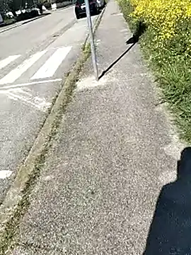 Snapshot of arveia chatting on April 4, 2026, 1:06 pm arveia online show from April 4, 2026, 1:06 pm