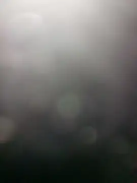 edubig23cm online show from January 19, 2025, 8:39 am