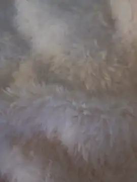 Snapshot of feketedemon36 chatting on January 25, 2025, 4:57 pm feketedemon36 online show from January 25, 2025, 4:57 pm