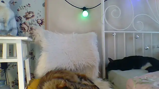 Frankie Foxie online show from February 18, 2025, 6:04 am