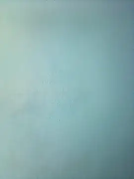 Snapshot of randit7 chatting on March 12, 2025, 11:54 am randit7 online show from March 12, 2025, 11:54 am