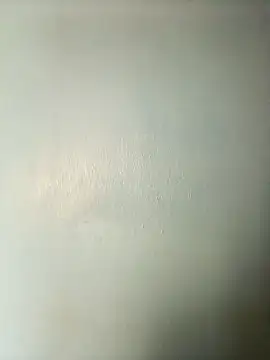 Snapshot of randit7 chatting on March 20, 2025, 3:34 am randit7 online show from March 20, 2025, 3:34 am