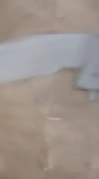 laxmitelugu78 online show from February 2, 2025, 7:25 pm